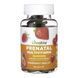 Prenatal Multivitamin Adult - 60 gummies (Пошкоджена банка) 2023-10-7808 фото 1